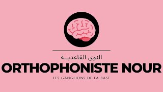 النوى القاعدية Orthophoniste Nour l Les ganglions de la base [upl. by Nahtnamas]