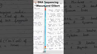 DNA sequencing Maxum and Gilbert chemical method of DNA sequencing easy handwritten notesmltpg [upl. by Rezeile]