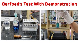 Barofoeds Test With Demonstration  Barfoeds Test For Carbohydrates [upl. by Ilac]