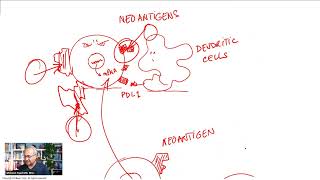 Pancreatic Cancer Vaccines With Amazing Results in Phase I [upl. by Sulecram617]