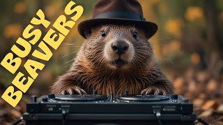 Busy Beavers  BEAVER SONG  Animal amp NATURE SONGS [upl. by Snevets278]