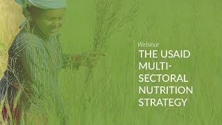 Webinar The USAID MultiSectoral Nutrition Strategy [upl. by Anma242]