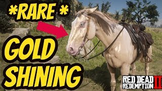 Red Dead Redemption 2 RARE GOLD SHINING HORSE FOR FREE [upl. by Wurster]