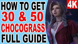 FF7 Rebirth How to Get 30 and 50 Chocograss Location  Chocograss Collector 50 Chocobo Grass [upl. by Arodnahs]