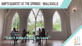 Cant Help Falling in Love  Kina Grannis Ampd String Quartet Cover [upl. by Crockett]