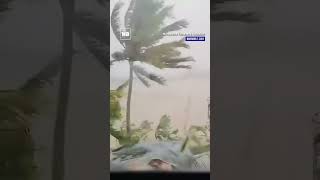 Strong winds hit town of Gonzaga in Cagayan dealt by MarcePH [upl. by Weaks940]