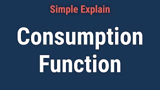 What Is the Consumption Function [upl. by Theodoric363]