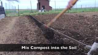 Planting Onions in Compost [upl. by Yrehc]