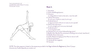 Week 3 Learning and Practicing Iyengar Yoga for Beginners [upl. by Ziza]