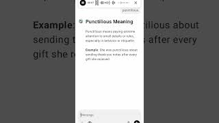 Punctilious Meaning [upl. by Vidovic]