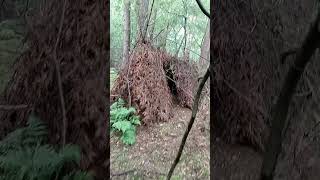 motivation bushcraft Überleben im Wald [upl. by Elleinod]