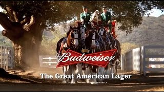 10 Famous Budweiser Super Bowl Commercials [upl. by Adoc]