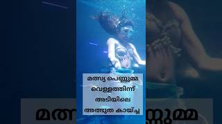 മത്സ്യ പെണ്ണുമ്മ  Kombankadu Koya  Kombanad Koya malayalam comedy funny shorts short new [upl. by Roseline]