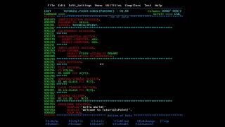 COBOL  Program Structure [upl. by Kries]