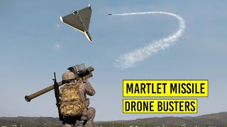 UK Supplies Ukraine with More New Martlet Missiles to Use Against Russian Drones [upl. by Gass748]