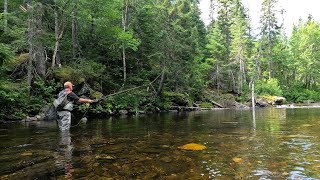 Miramichi Crown Reserve Salmon Fishing Squirrel Falls Stretch [upl. by Bevis12]