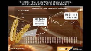 DATA DF  Precio del trigo crece 45 en 2022 y seguiría impulsando nuevas alzas del pan en Chile [upl. by Sirovat]