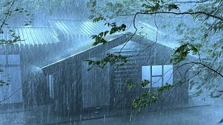 Cure Insomnia with Concussive Storms Heavy Rain Strong Wind Powerful Thunder on Peeling Tin Roof [upl. by Ethbin]