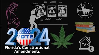 Florida Constitutional Amendments Explained [upl. by Alaine]