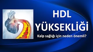 HDL YÜKSEKLİĞİ KALP SAĞLIĞI İÇİN NEDEN ÖNEMLİDİR [upl. by Melan]