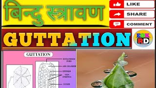 Guttation बिन्दु स्त्रावण Plant physiology topic [upl. by Eicnahc400]