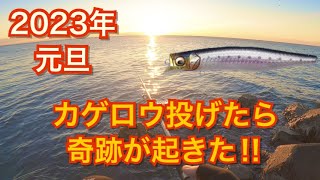 2023年元旦 初釣行でメガバス カゲロウMD投げたら 最高過ぎた‼︎新年最高のスタート‼︎ [upl. by Nofets]