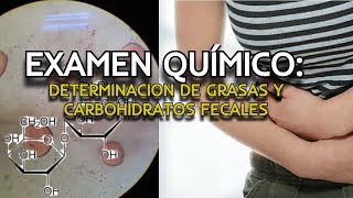 Análisis Químico de Heces Grasas y Azúcares Reductores Explicados [upl. by Gignac]