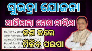 Subhadra Yojana Last Date Apply Odisha 2024  Subhadra Yojana New Update Subhadra Yojana Money 🤑💰 [upl. by Neddie]