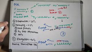 Polymerase chain reaction PCR and Reverse transcriptasePCR  USMLE step 1  Lecture 2 [upl. by Ishmul]