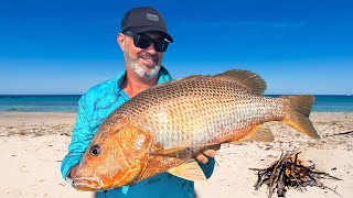 Catching Giant Golden Snapper ll Melville Island Catch amp Cook [upl. by Ynnej]