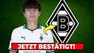 🚨Erste Unterzeichnung des Jahres Heute bestätigt Neuigkeiten zu Borussia Mönchengladbach [upl. by Anceline]