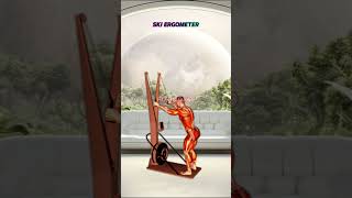 BODYWEIGHT WOODCHOOPERS VS SKI ERGOMETER  HOME VS GYM gym athomeworkout [upl. by Iiette833]