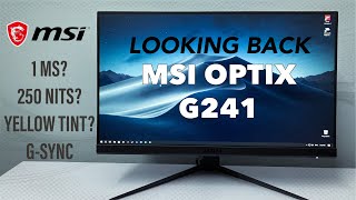 MSI Optix G241 monitor Second thoughts [upl. by Eentruok]