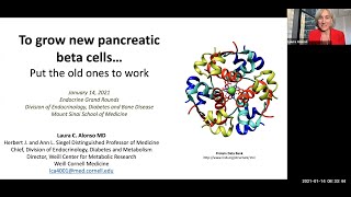 To Grow New Pancreatic Beta Cells Put the Old Ones to Work [upl. by Dorca]