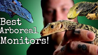 Top 5 Arboreal Monitors [upl. by Skyla]