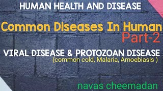 Common Human Disease Viral Disease and Protozoan Disease in malayalam class 12 [upl. by Eedyah275]