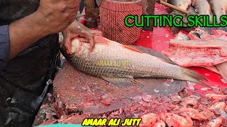 The Best Cutting Fish Skills  Amazing Cutting Skills  Raho Fish Cutting Skills Expert Fish Cutter [upl. by Publus]