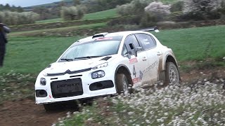 CAT  Rally Rocafort de Vallbona 2024  Jose Manuel Richarte  Ricard Martin  Citroen C3 N5 [upl. by Bessie]