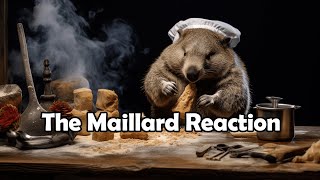 The Maillard Reaction 101 [upl. by Beauregard749]