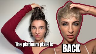 I chopped my hair off again shocker lol  Platinum Pixie Transformation 🧚🏼 [upl. by Flanders]