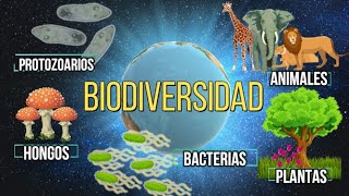 ¿QUÉ ES LA BIODIVERSIDAD [upl. by Ahseneuq]