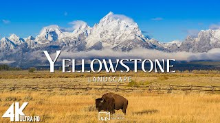 Yellowstone National Park 4K Ultra HD • Stunning Footage Scenic Relaxation Film with Calming Music [upl. by Llerral485]