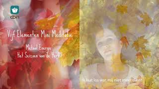 10 minuten DoIn Meditatie element metaal herfst muziek Ik laat los wat mij niet meer dient [upl. by Goddart]