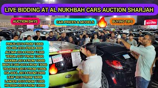 SHARJAH USED CAR MARKET  AL NUKHBAH CARS AUCTION SHARJAH  SHARJAH CAR MARKET  USED CARS UAE 🔥 [upl. by Eenimod]