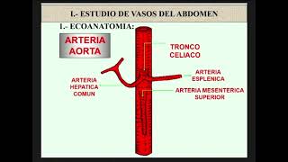 ECOGRAFÍA ABDOMINAL  ECO EN APENDICITIS [upl. by Anilag]