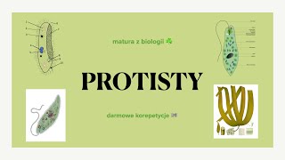 8 Protisty  zwierzęce roślinopodobne grzybopodobne  matura z biologii 🌿 biologia liceum [upl. by Akemot739]