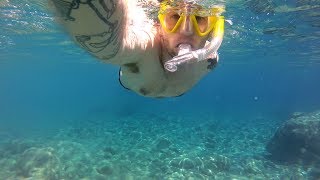 Snorkeling at Agia Anna Amorgos [upl. by Matt436]