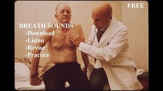 Breath Sounds  Master Auscultation Skills in 10 minutes [upl. by Joan]