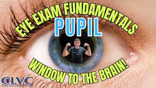 Pupillary light reflex  Highyield neuroophthalmology review [upl. by Delia]