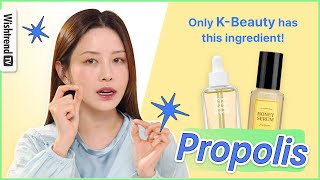 Comparison of Propolis Ampoules by KBeauty Brands 🍯💥 l Before You Buy [upl. by Alyworth623]